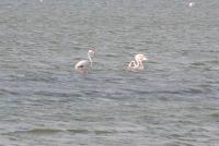 Cià Evelina - Ferienwohnung Sant'Antioco