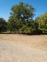 Podere Calcinaia - B&B
