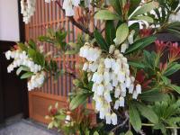 Gion Kyuraku - Bed and Breakfast Kyoto