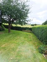 Relaxen vor den Toren Bambergs - B&B Bischberg