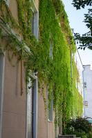 Гетьманські палати , Старе місто, 2 спальні, балкон-тераса , 85 м кв - B&B Kamianets-Podilskyi