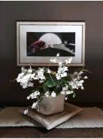 Lupus in fabula - Bed and Breakfast Peveragno