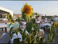 Villa INN - Ferienwohnung