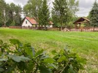 B&B Cerkiewnik - Cichy Las - Bed and Breakfast Cerkiewnik