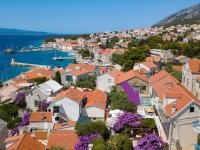 Award winning Garden Apartment with large Terrace and amazing Seaview - Chambres d'hôtes Bol