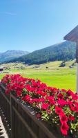 Chalet Da Florin - B&B Livigno