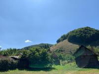 Casa Speranța din Poieni - B&B Poieni