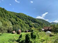 Casa Speranța din Poieni - B&B Poieni