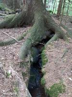 Appartamento con Terrazza