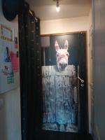 Avoriaz cocooning - B&B