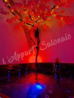 Lappart-salonais 70m2 avec jacuzzi privatif - B&B