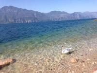 ATTICO NEL BORGO - B&B