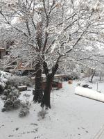 Jasmine appart Metro station, 2BDR, FREE Parking - Bed and Breakfast Sofia