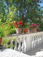 Apartments Grzunov - B&B Zadar