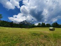 Studio with Mountain View