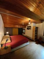 Logement mansardé dans maison avec jardin en bord de piste, vue montagne - Chambres d'hôtes Les Houches