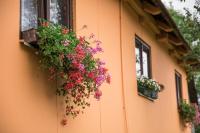 Kuća za odmor Jagnjić - B&B Josipdol