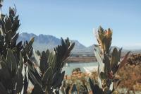 Stonewood Mountain Cabin - B&B Breërivier