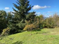 Camera King con Vista Giardino