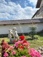 Vila Paltinis - B&B Păltiniș