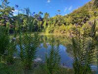 Chambre Double – Vue sur Lac