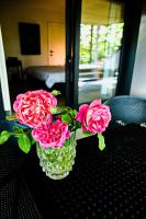 Suite con vistas al jardín