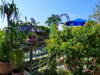 Riad Cherihane - B&B
