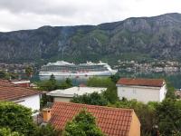 Appartement 1 Chambre Confort avec Balcon et Vue sur Mer