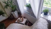 Appartamento con 3 Camere da Letto