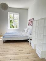 aday - City Central Mansion - 1 Bedroom with big terrace - Bed and Breakfast Aalborg
