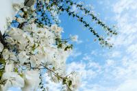 One Bedroom Ocean View Villa with Private Pool