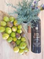 Kuća za odmor "TONI" - Ferienwohnung Kuna Pelješka