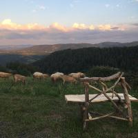 L'Estivante - B&B Saint-Austremoine