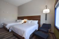 Holiday Inn Express & Suites - Orlando - Southeast, an IHG Hotel