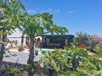 Los dragos - B&B Masdache