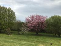 Le pain perdu de germaine - B&B Château-Gontier