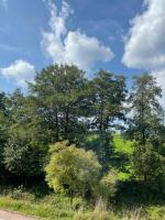 Ferienwohnung Mutzelmann - B&B Kurort Gohrisch