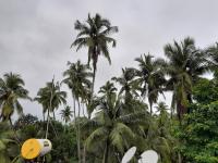 Raaj Inn studio's - Ferienwohnung Candolim