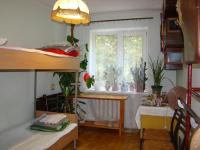 B&B Vinnytsya - Очень уютная, тихая, єко комната с видом на сад - Bed and Breakfast Vinnytsya