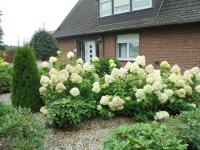 Ferienwohnung Küper - Chambres d’hôtes Getelo