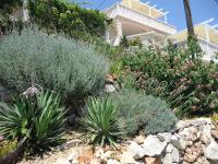 Apartment MORE Island Vis - B&B
