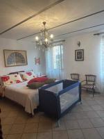 Habitación con cama extragrande y vistas al jardín