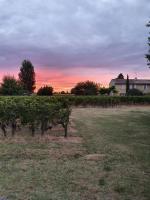 299 Bigaroux - B&B Saint-Émilion