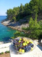 Modern Robinson Veli Bare - B&B Vela Luka