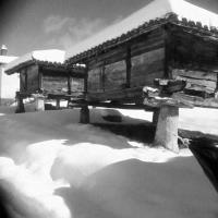 Los Tres Hórreos - Bed and Breakfast Felechas