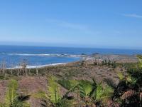 Apartment - Erdgeschoss