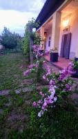 Szelíd Tisza Vályog Vendégház Tiszafüred - B&B