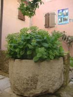 Bed & Breakfast Antico - B&B Motovun
