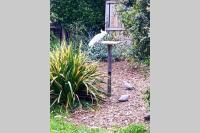 150 Steps FREE WI-FI - B&B Apollo Bay