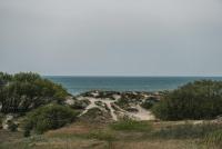 Kapitono tiltelis - B&B Palanga